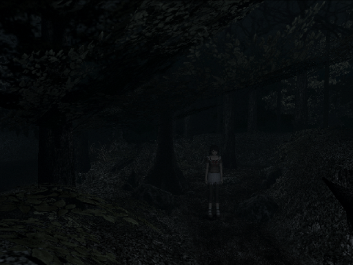 Gameplay screenshot for Fatal Frame II: Crimson Butterfly