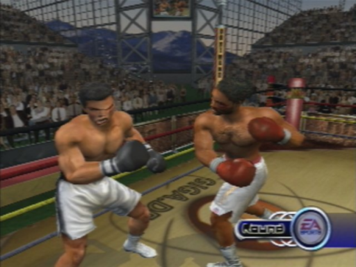 Gameplay screenshot for Knockout Kings 2002