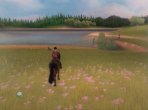 Gameplay screenshot for Petz: Horsez 2
