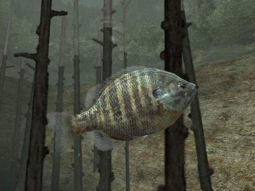 Gameplay screenshot for Reel Fishing 3